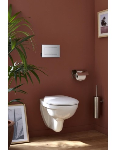 Cuvette suspendu sans bride Patio ( avec ou sans abattant)   -Jacob Delafon