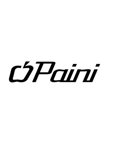 Paini 